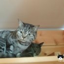 호텔구구 이미지