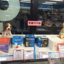 봄봄약국 이미지