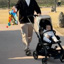 지에스25 서산해미점 | 서산 해미읍성 지금가기 딱 좋아, 천안 아산 근교 아기랑 가볼만한 곳 추천