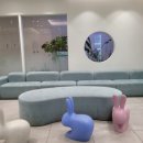 곰돌이약국 이미지