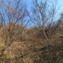 하남마을회관 이미지