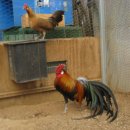 부천농장 이미지