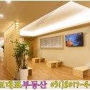 면역공방(수지점) 이미지