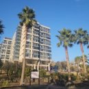 서귀포튼튼공인중개사사무소 이미지