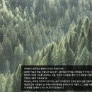 (주)펫닥 | 에이치피오 - 투자 관점에서 기업 분석 1편