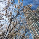 서문농장 이미지