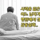 가슴을 울리는 감동적인 실화 이미지