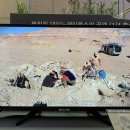 지질박물관 이미지