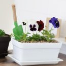 홈가드닝 이미지