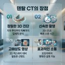 노령묘 갑상선호르몬 검사 필요한 이유 밥 잘 먹는데 살 빠지는 증상 분석