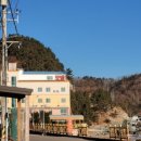 플로리다 대탄 이미지