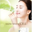 센텀쁘띠의원 - 전주시 완산구 백제대로 436 | 센텀쁘띠의원