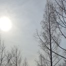 수영강 동천교 이미지