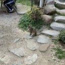 아틀리에빈 | 광안리 카페 디저트 ‘덕미 아틀리에’ 망고프렌치토스트 후기