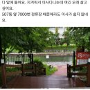 사동 푸른마을5단지 504동뒤 | 물건분석 [아파트] / 경기도 김포시 장기동 아파트