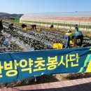 평화농장 이미지