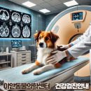 이안동물의학센터 | 청담동 반려동물 건강검진은 이안동물의학센터에서!