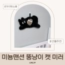 미뇽 캣 이미지