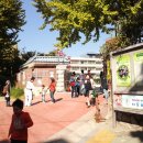 혜화초등학교 앞 꽃 터널(서울시 종로구 혜화동) 이미지