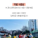 배추머리미용실 네이버블로그