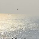 시방