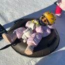 하백목장 | [아기랑 여행] 평창 휘닉스파크 2박3일 후기