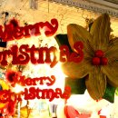 토즈스터디센터중동2독서실 이미지