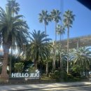 우진 | [CJU 제주] 제주 필수 쇼핑리스트 | 우진해장국 포장 후기