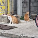 친구2 노래연습장 | 제주도 6박 7일 中 새해는 기쁜데 할 게 없다.