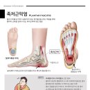 만성원광한의원 이미지