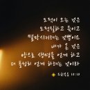 [요한복음 10:10] 도적이 오는 것은 도적질하고 죽이고 멸망시키려는 것뿐이요 내가 온 것은 양으로 생명을 얻게 하고 더 풍성히 이미지