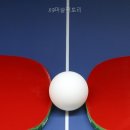 89머슬팩토리