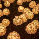 우이동 가족캠핑장 이미지