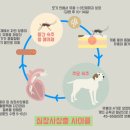 애드세이버 이미지