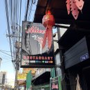 엘리스레스토랑 | 치앙마이 엘리스 레스토랑 솔직 비추 후기 (엘리스 키친 아님, 사악한 가격 주의)