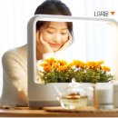 신개념 이미지