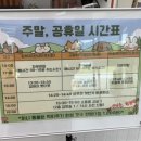 선샤인 반려견 유치원 네이버블로그