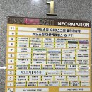 지앤지 헤어 | 💄 남양주 다산 ‘에이엠글로우’에서 데일리 메이크업&헤어 체험 후기