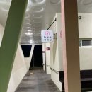 등억알프스야영장 | [등억알프스 야영장] 울산 야영장 추천 부산 근교 야영장 추천 내돈내산 솔직한 이용 후기