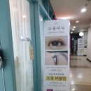 눈꽃속눈썹