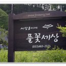 세쌍둥이네 풀꽃세상 이미지