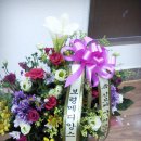 신근식산부인과의원 이미지