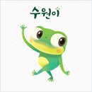 광교산공영자전거대여소(버스종점) | 반디클 광교산 자전거 대여소 와 광교 마루길 벚꽃 개화율