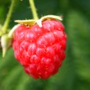 그대그리고나 이미지