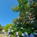 외도가보이는집 이미지