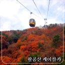 모텔골든타임 | [팔공산 케이블카 단풍 구경 다녀왔어요] 가을빛에 물들어 가는 중입니다/주차/할인정보.(2025.11.12현재)