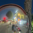 우리만두식당 이미지