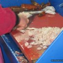 용호동 섶자리 이미지