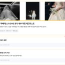 루베 | 아이폰 스냅 :: 루베미스냅 내돈내산 후기_더링크호텔 가든홀