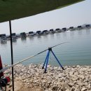 서해대교바다낚시터 이미지